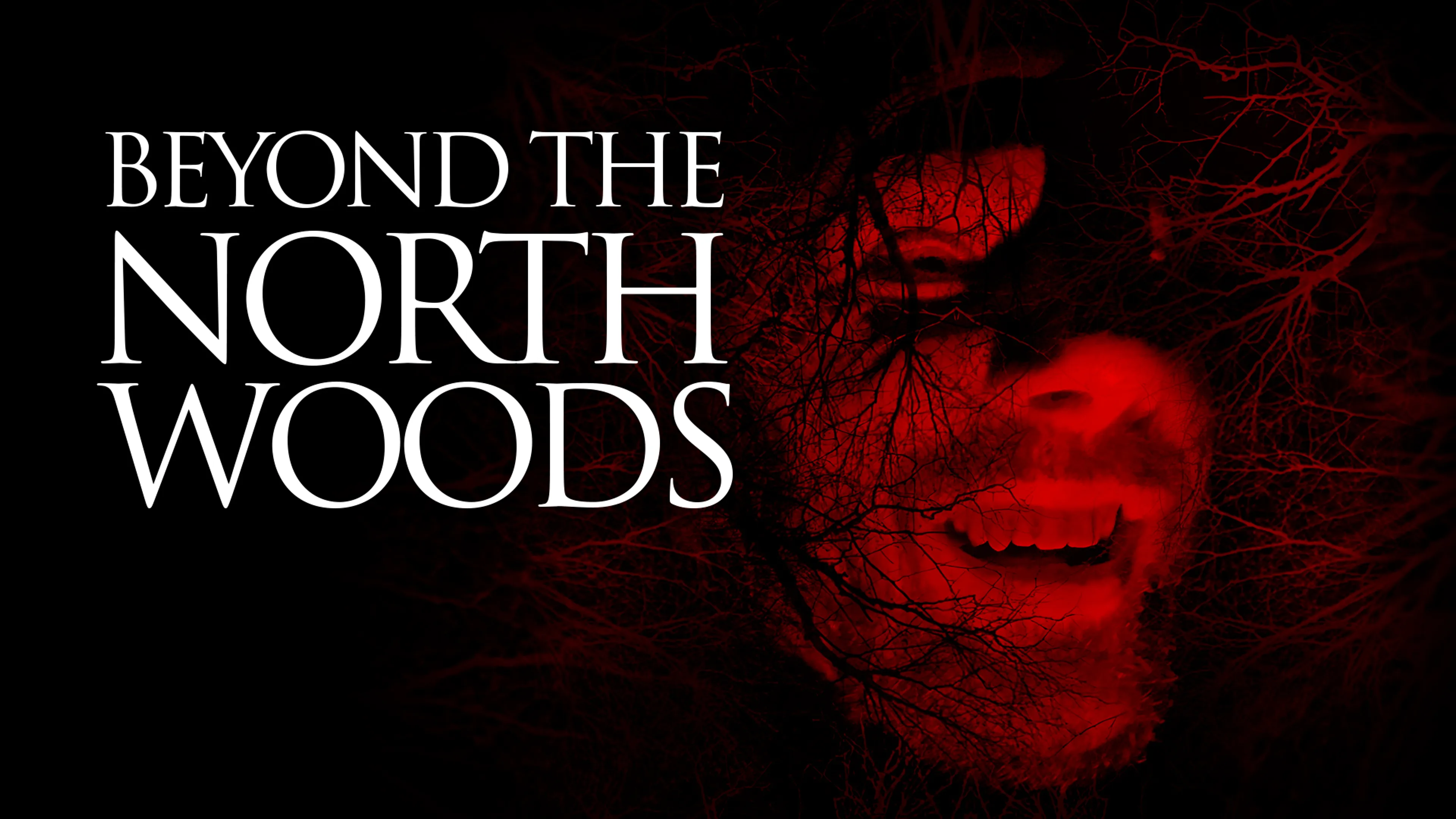 Beyond the North Woods poster